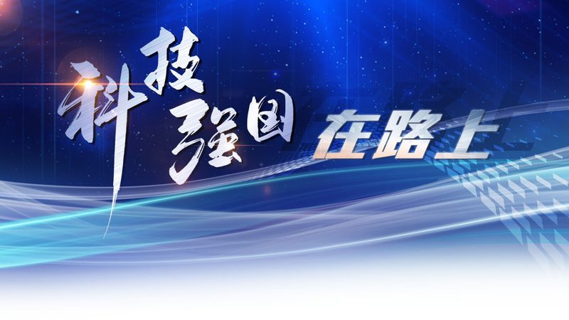 企业IT采购中的技术供应商评估盲区