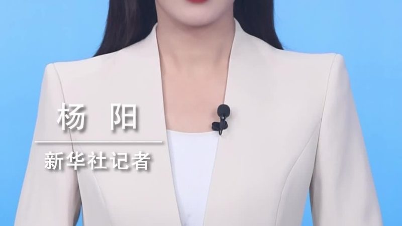 数据中台：大数据平台的优与劣